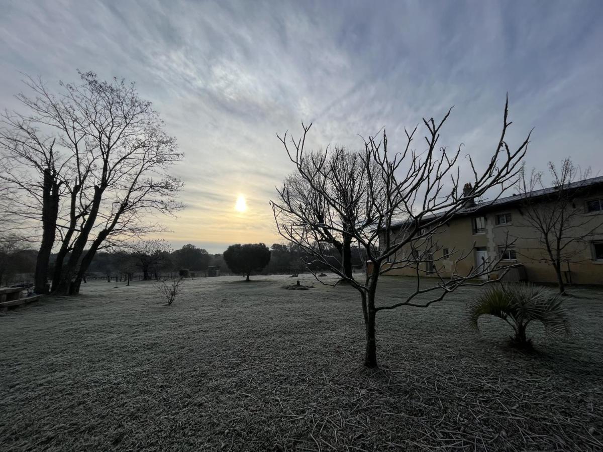 Bed and Breakfast Chateau Canteloup Saint-Caprais-de-Bordeaux Exterior foto