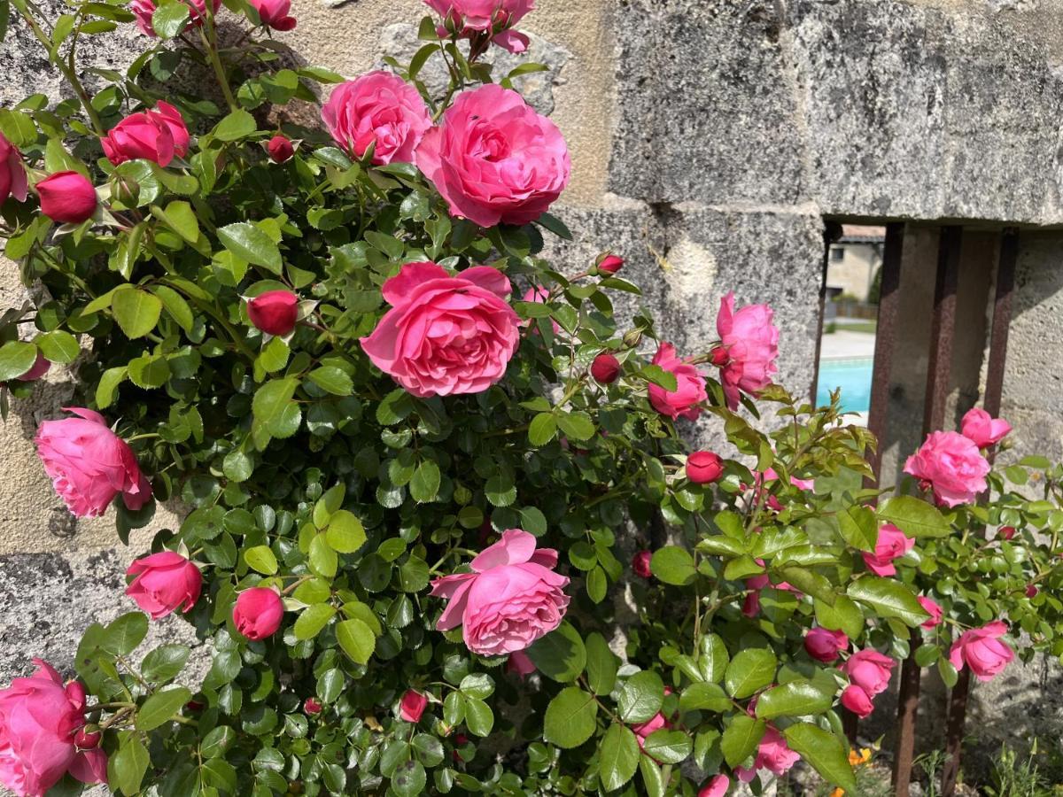 Bed and Breakfast Chateau Canteloup Saint-Caprais-de-Bordeaux Exterior foto